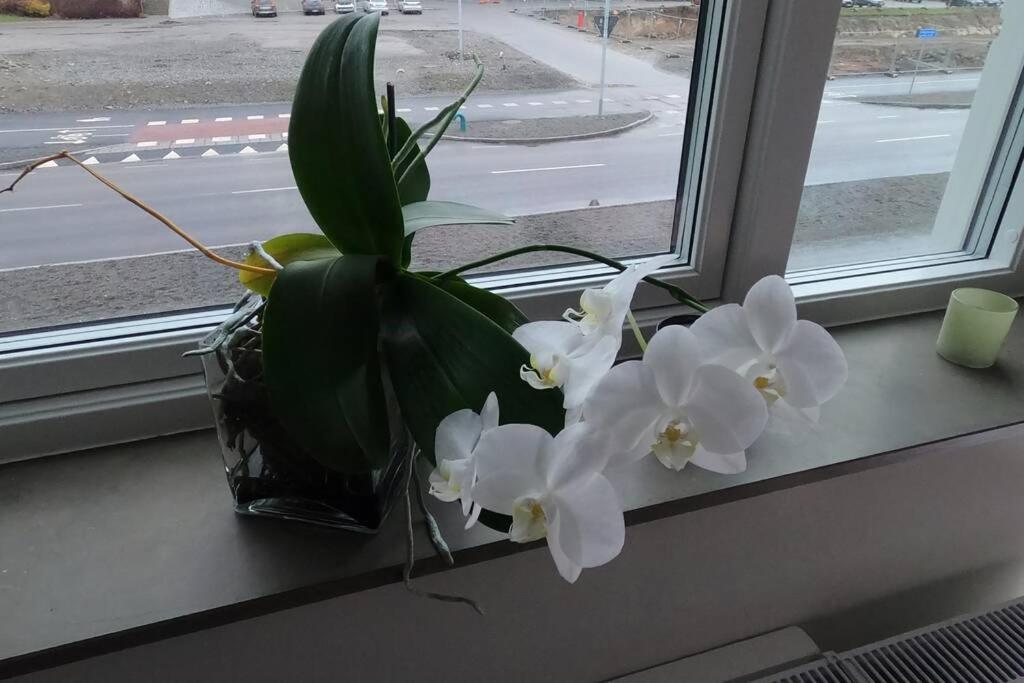 Homestay - Private Room In An Apartment กอเทนเบิร์ก ภายนอก รูปภาพ